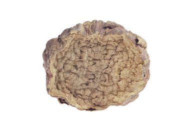 Beyaz arka planda Çin bitkisel ilacıyla Cistanche deserticola