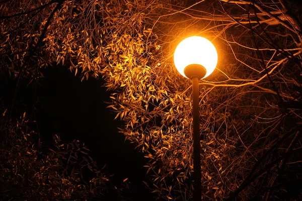 Gelbe Lichter im Park — Stockfoto