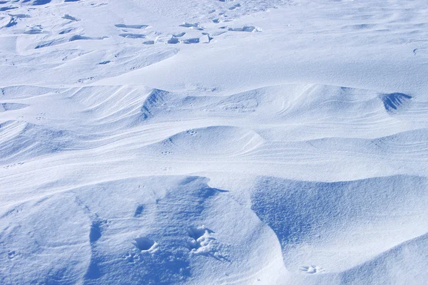 Textur på snön — Stockfoto