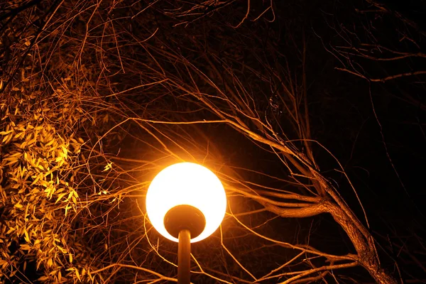 Luces amarillas en el parque — Foto de Stock