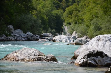 Doğa ile çevrili nehir taşları