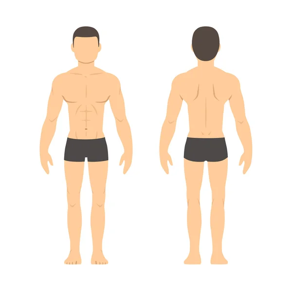 Atletische man voor- en achterkant — Stockvector