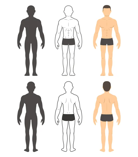 Ilustración cuerpo masculino — Archivo Imágenes Vectoriales