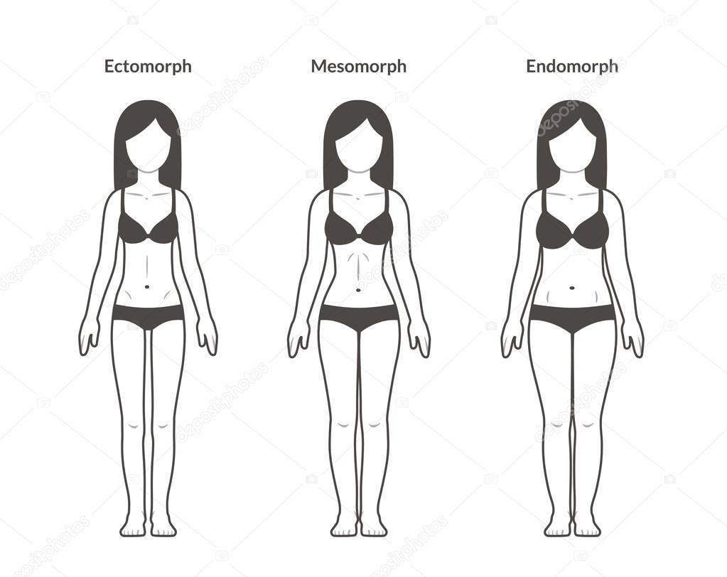 Female body types Stock Vector by ©Sudowoodo 108084188