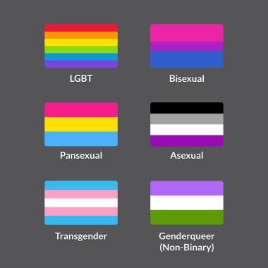 LGBT bayrakları kümesi