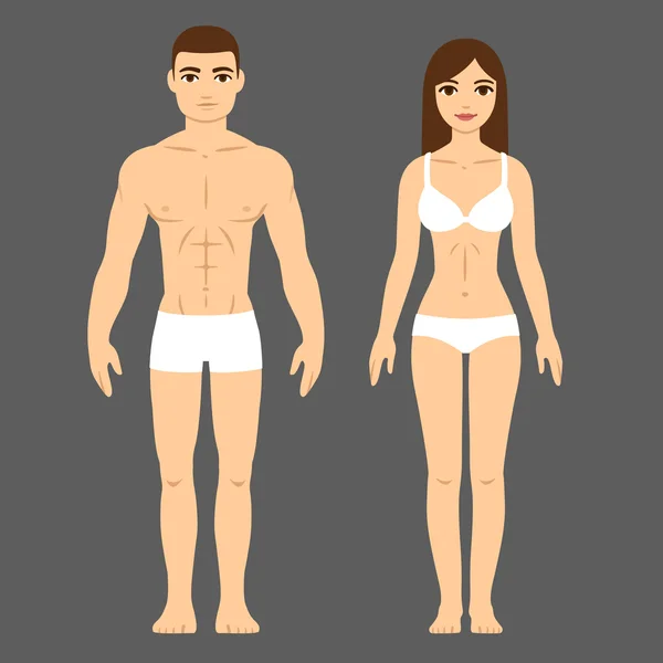 Férfi és a női test — Stock Vector