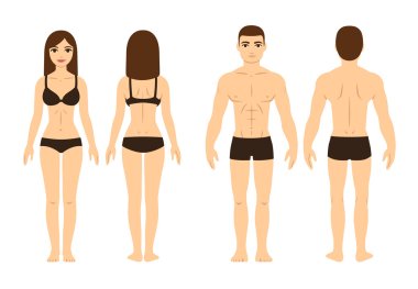 Male and female body clipart