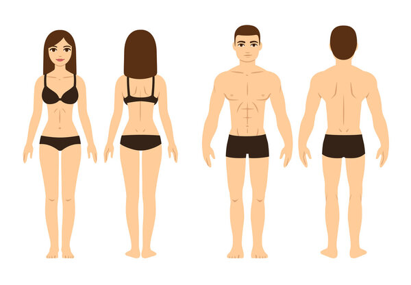 Male and female body