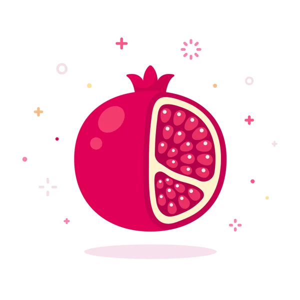 Pomegranate vector illustration — Stock Vector