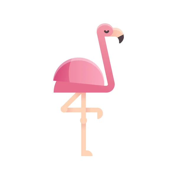 Векторная иллюстрация фламинго — стоковый вектор