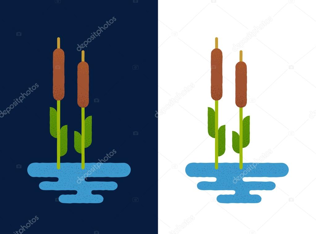 Cattails in lake on white and blue background. Vector illustration in flat geometric cartoon style. Reed logo or icon.