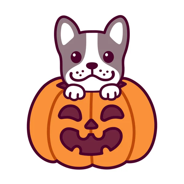 Dolcetto Scherzetto Carino Cartone Animato Bulldog Francese Nella Zucca Halloween — Vettoriale Stock