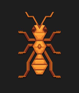 karınca geometrik gösterimi