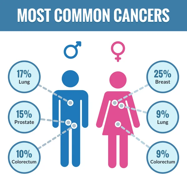 Mannelijke en vrouwelijke kanker infographics — Stockvector