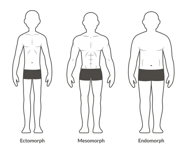 Tipo de cuerpo masculino gráfico — Archivo Imágenes Vectoriales