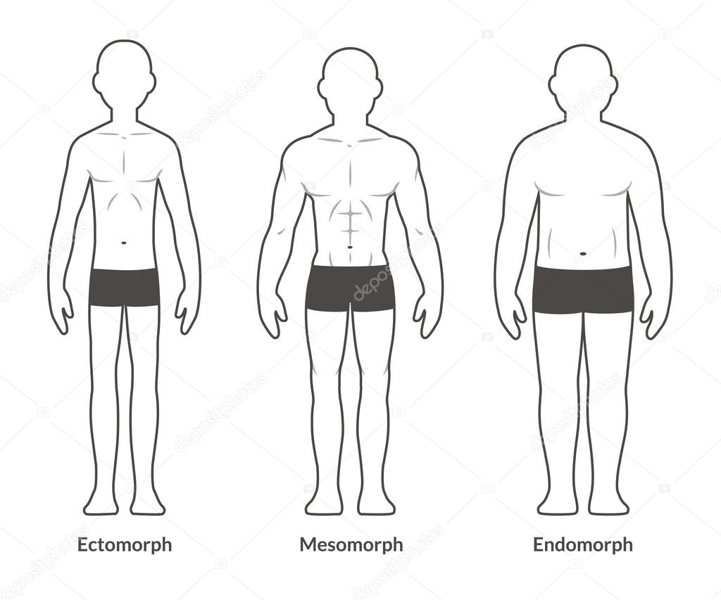 Human body types. Men as endomorph, ectomorph and mesomorph. Stock Vector