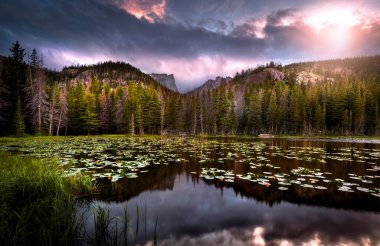 A lake with lily-pads in Rocky Mountain National Park forest at sunset. There are lots of pine trees lining the lake. The sun is setting behind a mountain. 