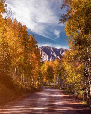 A mountain dirt road leads through an Aspen Grove during Autumn with a mountain in the background. There are many trees throughout the scene. The sky is blue with a few wispy clouds.