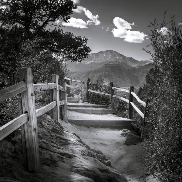 Black White Scene Sandstone Hiking Path Wooden Cedar Fence Garden — Photo