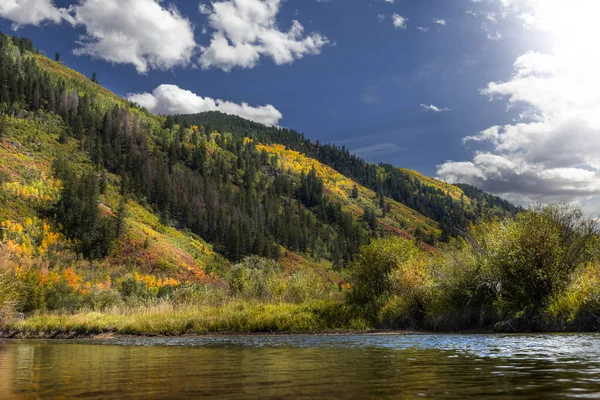 Scène Automnale Feuilles Changeant Couleur Long Une Rivière Dans Les — Photo