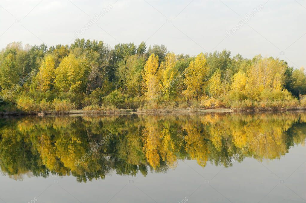 mirror of autumn forest