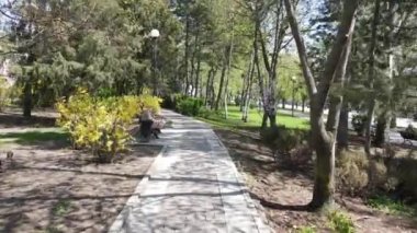 Parkta bir patika boyunca İHA ile uçuyoruz.