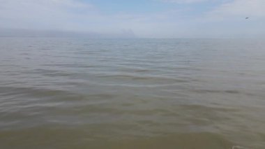 Körfezin yakınındaki bir dronda martılarla uçuyoruz.