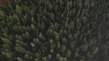 Ufka doğru eğimli yeşil manzaralı bir hava.