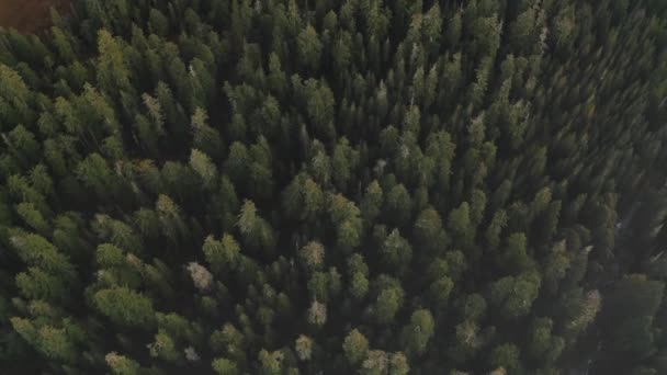 Aérea Paisaje Verde Inclinándose Hacia Horizonte — Vídeos de Stock