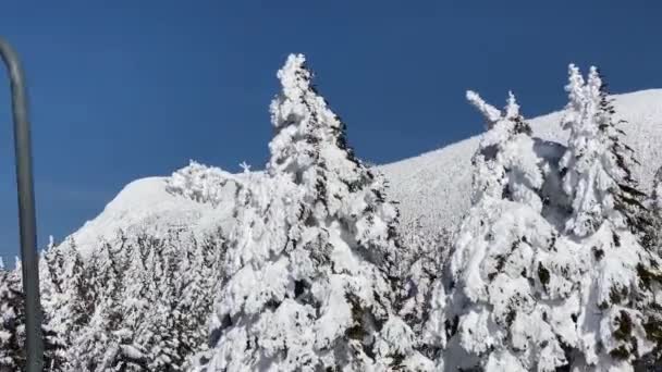 Lyftstugor Fjällskidort Skidliftarnas Rörelser Ett Snöigt Vinterberg Ryssland — Stockvideo