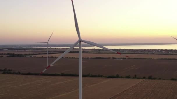 Die Enorme Größe Der Windräder Einschließlich Der Baumwollfelder Denen Sie — Stockvideo