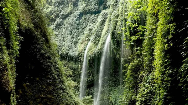 Geweldige Waterval Jungle Waterval Beste Cascade Tropische Regenwoud Met Rots — Stockfoto