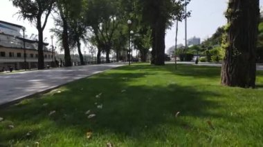 Sonbaharda yeni yetişen ekinler üzerinde alçak insansız hava aracı uçuşu