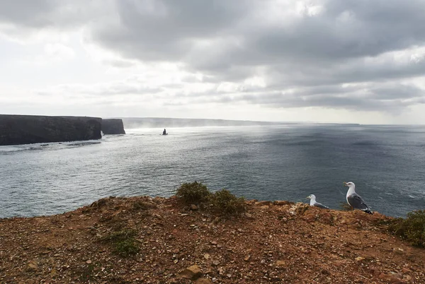 Paisaje Desde Mirador Playa Arrifana Aljezur Algarve Portugal Con Gaviotas — Foto de Stock