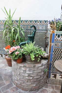 Köşesi çiçeklerle dolu bir avluda eski bir kuyu ve su pompasıyla.