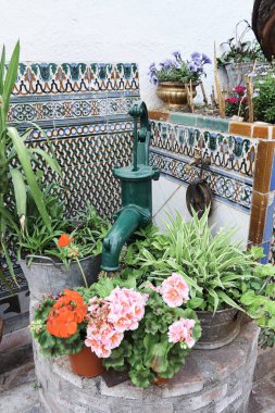 Bahçedeki çiçeklerle dolu bir köşenin ayrıntıları. Eski bir kuyu ve su pompasıyla..