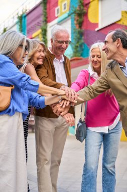 Gülümseyen bir grup kıdemli arkadaş el ele tutuşuyor, takım çalışmasını sembolize ediyor, birlik ve açık havada destek oluyor.