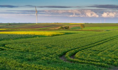 Türbinler kırsal bölgedeki yel değirmeni çiftliğinde yenilenebilir yeşil enerji üretiyor