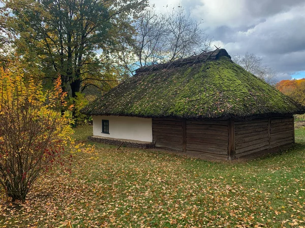 Ormandaki eski ahşap ev