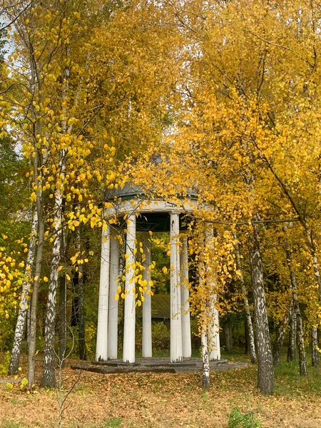 Sonbaharda sonbahar parkı, parkta kubbe