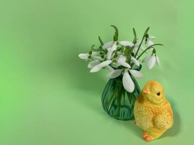 Paskalya arka planı. Tavuk ve çiçekler. Paskalya arkaplanı