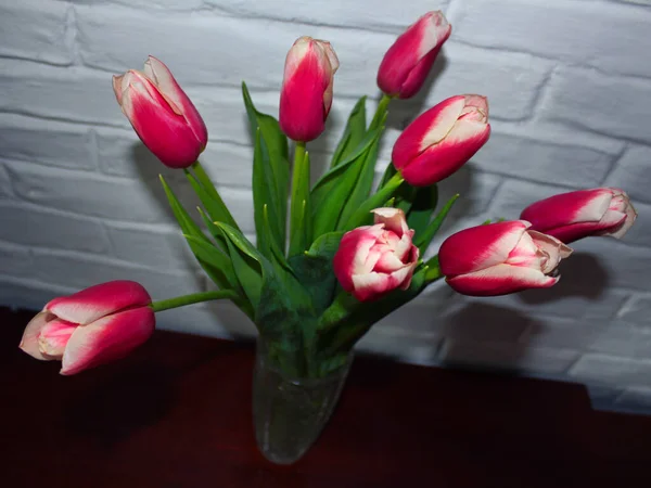 Flores Cor Rosa Primavera — Fotografia de Stock