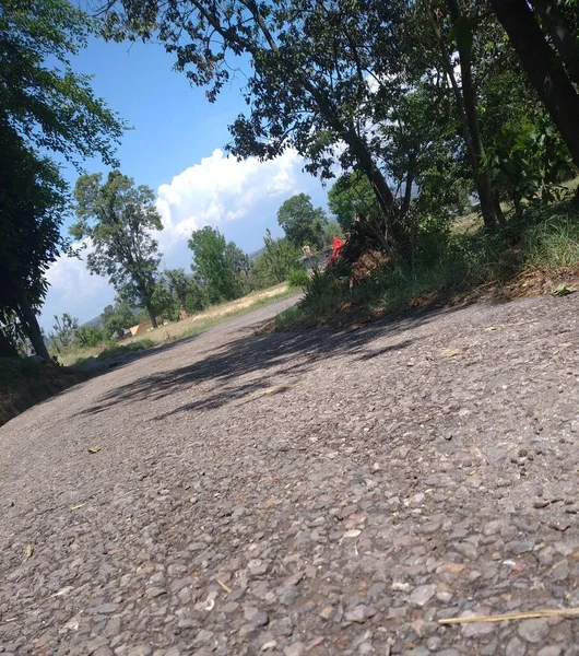 視界の広い道路には氷の山や木々の影がある緑の木がある — ストック写真