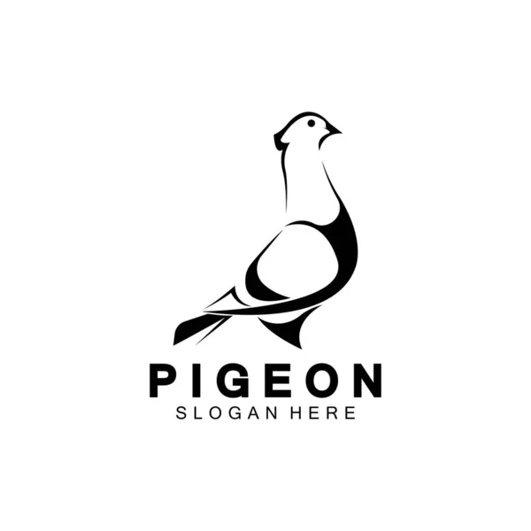 Pigeon Bird Logo Vettoriale Icona Illustrazione Modello Design — Foto Stock