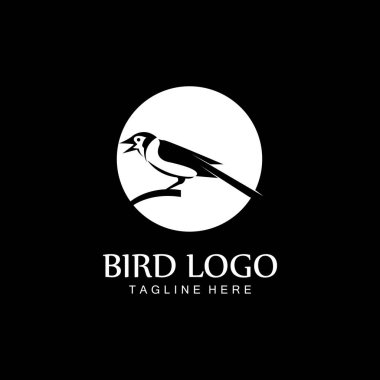 kuş logo vektör tasarım şablonu