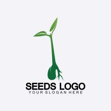Bitki Tohumları Logosu Konsept Şablon Vektörü. Tohum yetiştirme logosu. Tohum yetiştirme Vektörü logo çizim şablonu