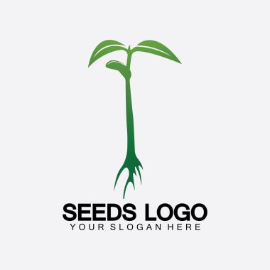 Bitki Tohumları Logosu Konsept Şablon Vektörü. Tohum yetiştirme logosu. Tohum yetiştirme Vektörü logo çizim şablonu