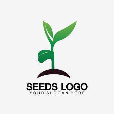 Bitki Tohumları Logosu Konsept Şablon Vektörü. Tohum yetiştirme logosu. Tohum yetiştirme Vektörü logo çizim şablonu