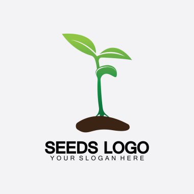 Bitki Tohumları Logosu Konsept Şablon Vektörü. Tohum yetiştirme logosu. Tohum yetiştirme Vektörü logo çizim şablonu