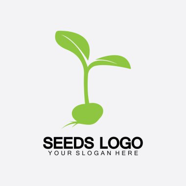Bitki Tohumları Logosu Konsept Şablon Vektörü. Tohum yetiştirme logosu. Tohum yetiştirme Vektörü logo çizim şablonu